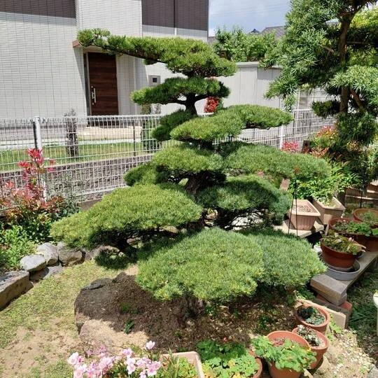 19050