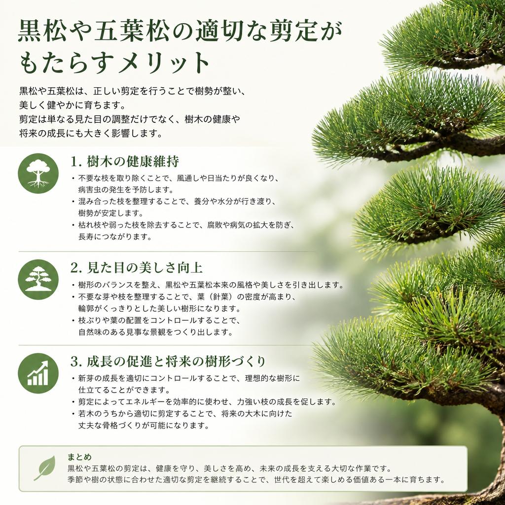 剪定の効果とは?