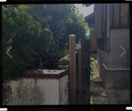 庭木の成長がもたらす影響