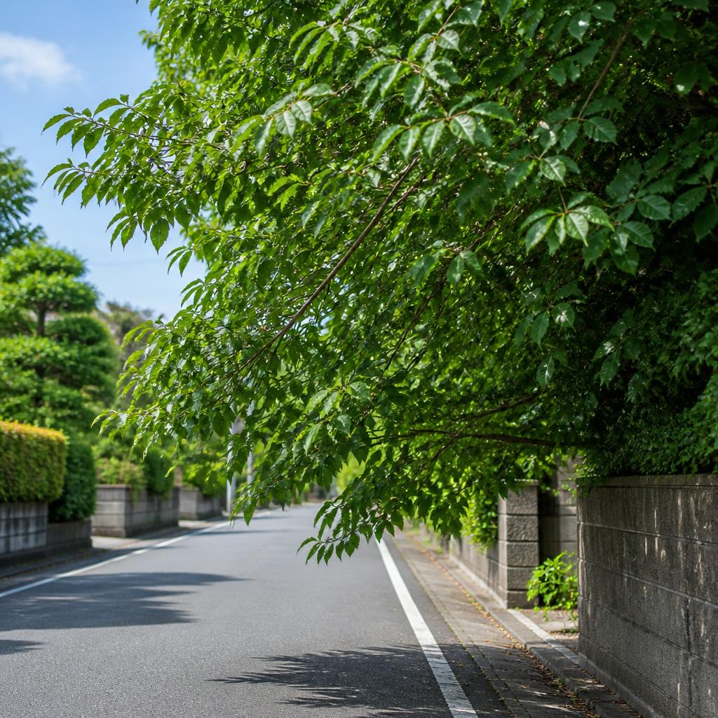なぜ緊急伐採が必要なのか？